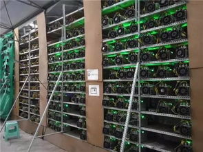 A vibrant mining farm showcasing rows of advanced mining rigs.