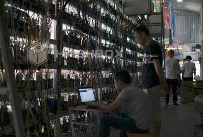 A large-scale cryptocurrency mining farm filled with rows of mining rigs.