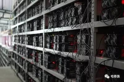 Large-scale mining farm utilizing solar energy