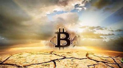 Large-scale cryptocurrency mining farm with rows of mining rigs