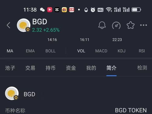 Dogecoin mining setup